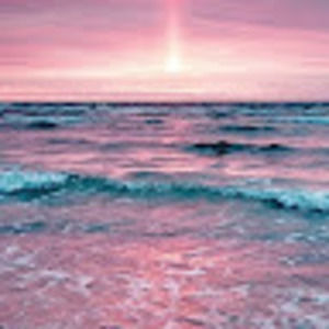 Meet your Posher, Banon